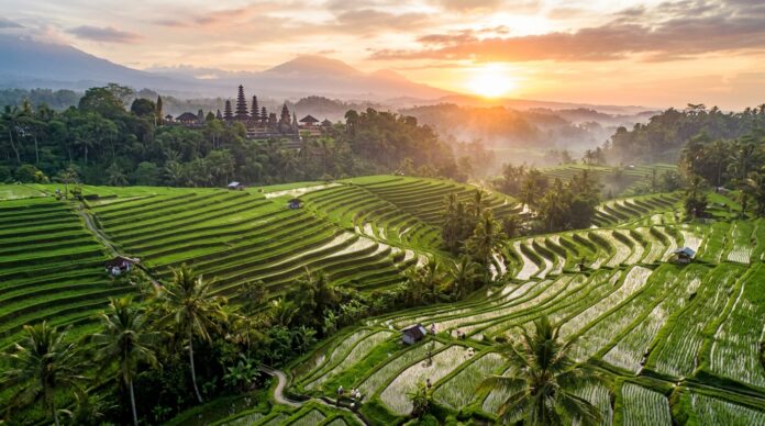 Bali Travel Guide